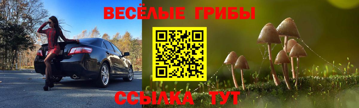 Сергиев Посад  Псилоцибиновые грибы GOLDEN TEACHER  Галлюциногенные грибы GOLDEN TEACHER  где можно купить   Вход с VPN 